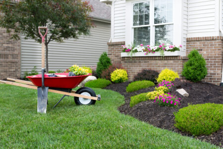 5 Quick Tips to Prepare Your Landscaping for Spring Image